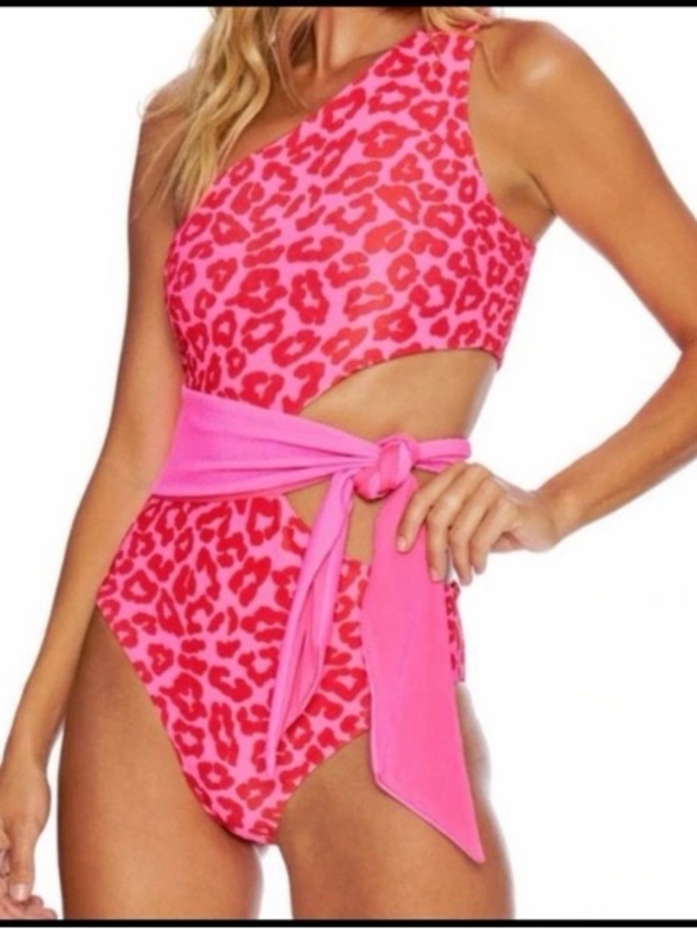 Barbiecore Beach Riot Leopard Rae One Peice Swim Suit from Revolve